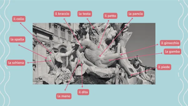 Prikaz lekcije iz modula Trieste, delovi tela na italijanskom